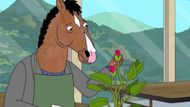 BoJack Horseman | Image Source: Netflix